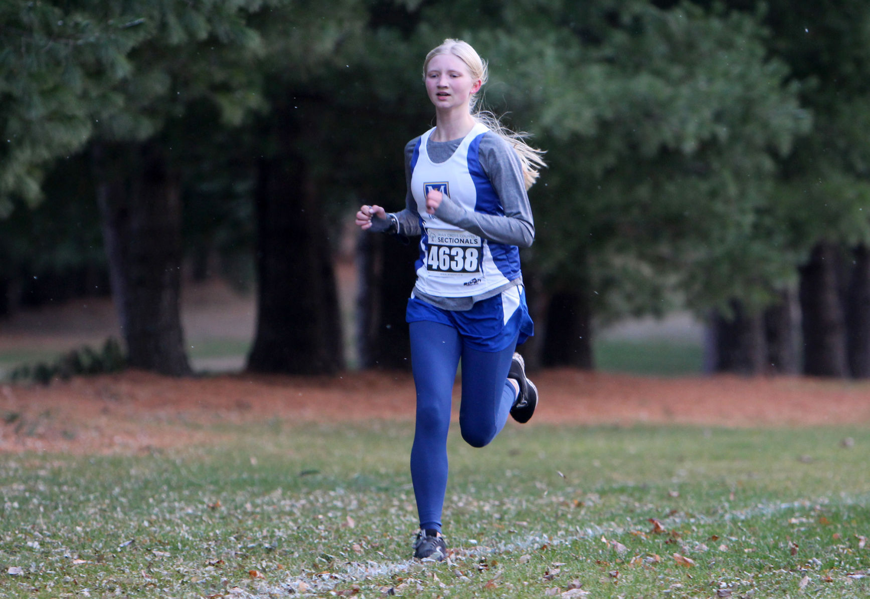 Division 3 Cross Country Sub-Sectional at Colfax 10-19-20